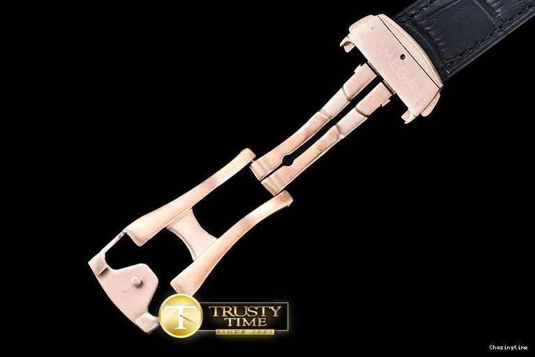 1102 OMG0464M – Aqua Terra 38mm